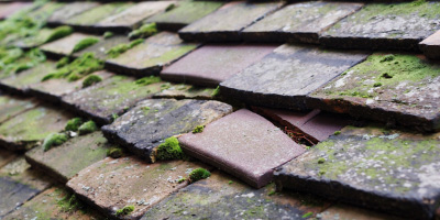 Blackburn roof repair costs